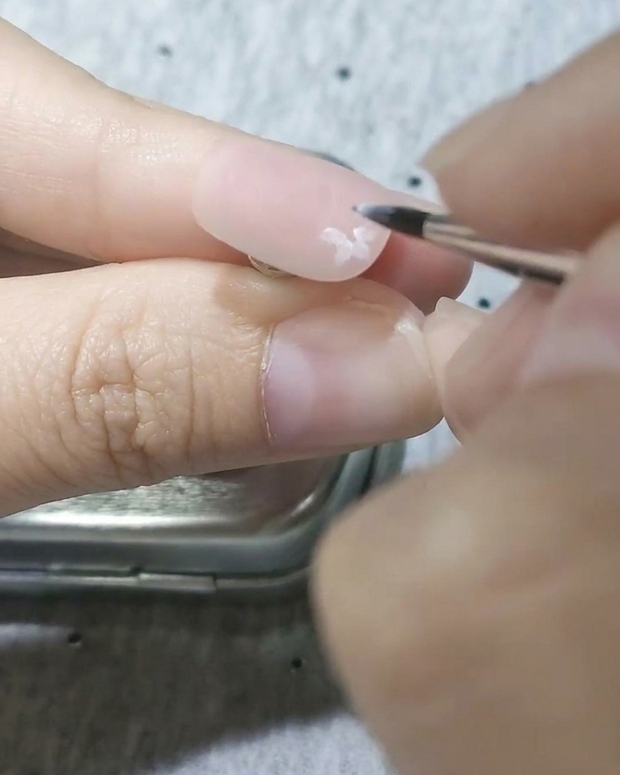 マットなピンクベースの上に、白い半透明の桜の花が散りばめられている様子
