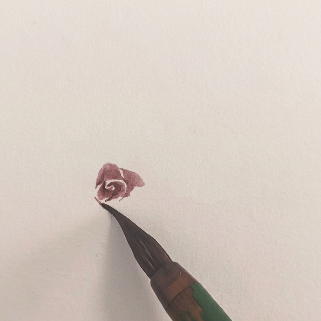 水彩画のバラに、左側へ伸びる追加の花びらの層が描かれた様子。